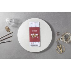 Pasaport Biletli Davetiye Pasaport Biletli Davetiye